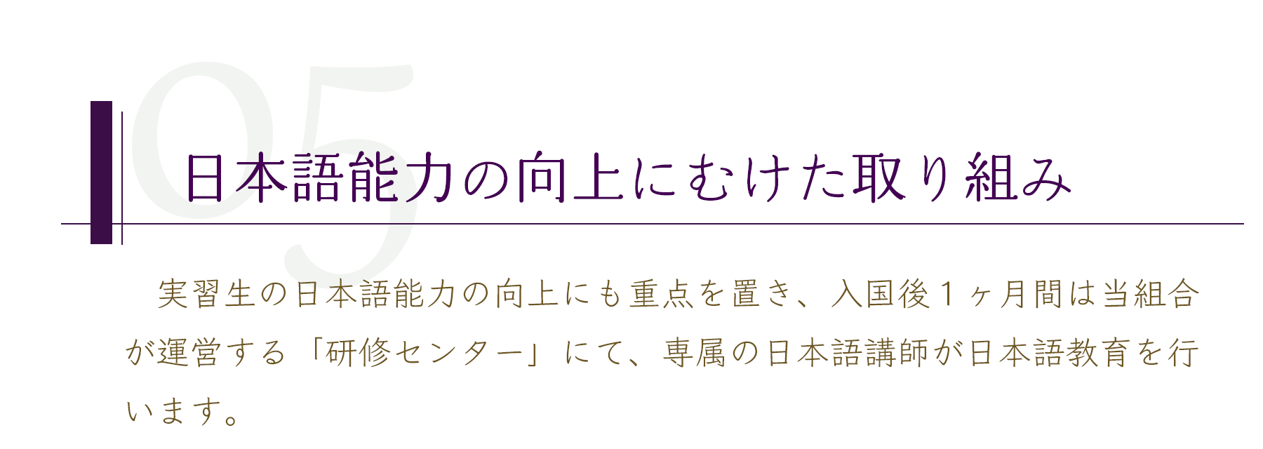 監理団体,島原市,長崎県,佐賀県,福岡県,島原半島共栄事業協同組合,外国人技能実習生,外国人実習生,特定技能制度,特定技能,技能実習制度,ミャンマー,ネパール,中国,カンボジア